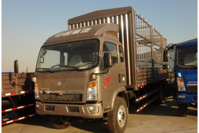 Light Stake Cargo Truck 1